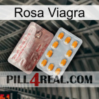 Pink Viagra new13